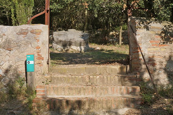 Cementiri del Còlera. Itinerari per la Serralada Litoral